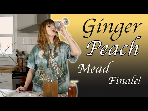 Ginger Peach Mead - Finishing & Bottling!