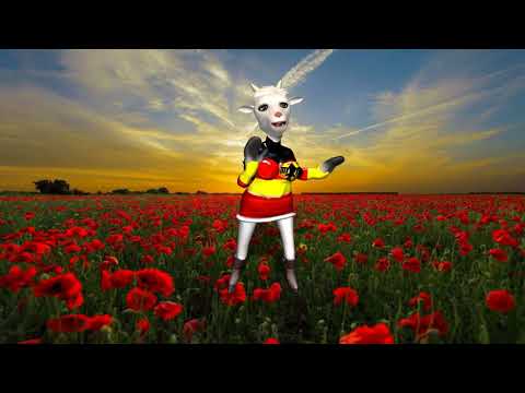 Hallo Arschloch Mensch