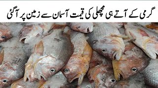 Musa colony fish market | Fish market karachi moosa colony | Fish Market Karachi @Marketbhai.