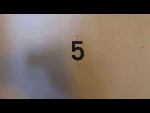 Berry 921 - Video 2 of 2