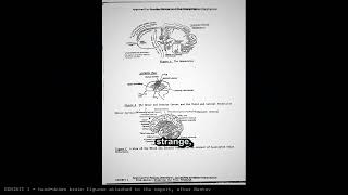 The Army Wrote A Manual For Leaving Your Body | GATEWAY Part 1 | FILE 010