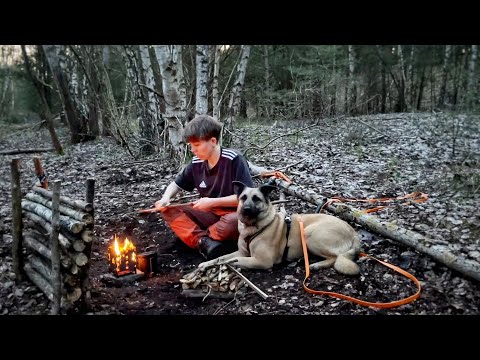 Wildcamping mit Hund | Eine Nacht im Wald