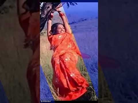P B Srinivas  hits-Baare Baare Chendada Cheluvina Taare - Nagarahavu - Dr.Vishnuvardhan - Aarathi