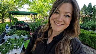 Lots of Planting Projects- In Containers & In the Landscape! 🪴🌸🪴 // Garden Answer