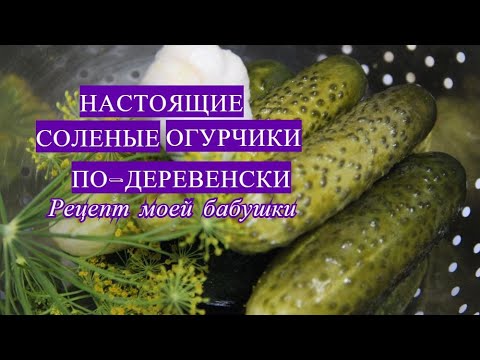 Настоящие соленые огурцы по-деревенски. Рецепт моей бабушки