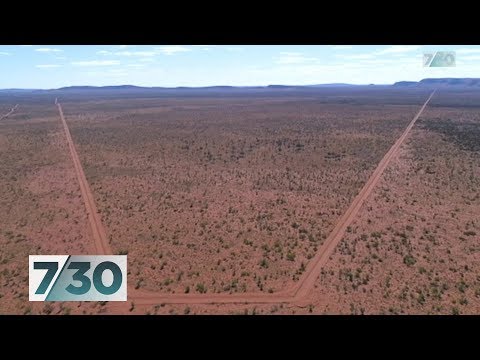 download lagu mp3 mp4 Cat Alice Springs, download lagu Cat Alice Springs gratis, unduh video klip Cat Alice Springs