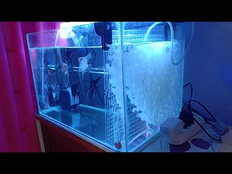 K1 media filter, 1.5 aquarium super clean