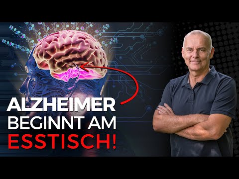 Unser Gehirn verhungert – trotz vollem Teller: Wie unser Gedächtnis im Überfluss untergeht!