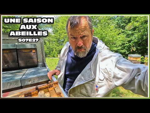 JUNE IN SWARM [S07E27]