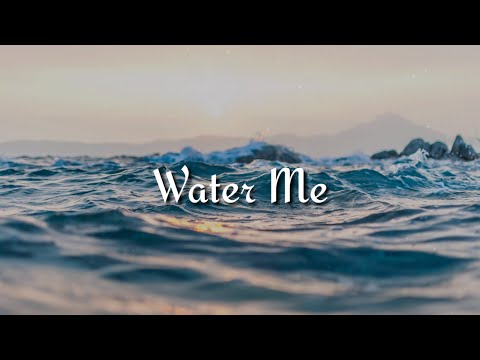 Lizzo - Water Me (Lyrics)
