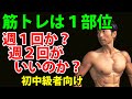 筋トレは1部位、週1回か?2回がいいのか?初中級者が筋肉つける、体を変えるために。あなたにベストな方法は?