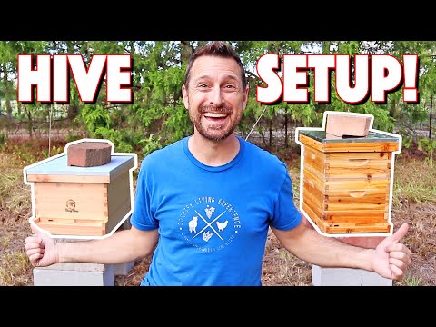 Bee Hive DIY! Our Very First Hive Setup And Build!