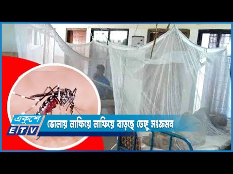 ভোলায় লাফিয়ে লাফিয়ে বাড়ছে ডেঙ্গু সংক্রমন | ETV News