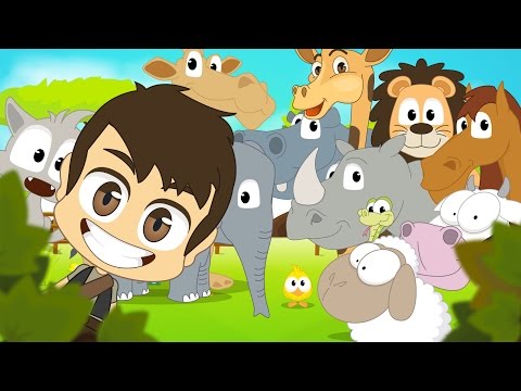  Animals for Kids in Arabic - اسماء الحيوانات للأطفال باللغة العربية