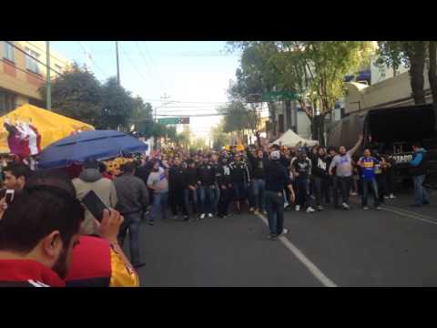 "Somos del barrio de san Nico. Libres y lokos en Toluca" Barra: Libres y Lokos • Club: Tigres