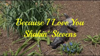 Because I Love You - Shakin&#39; Stevens (Video with Lyrics)