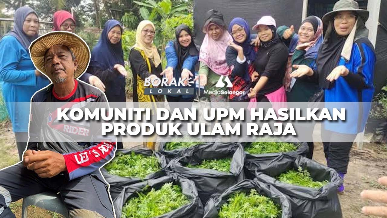 Komuniti Siantan bersama UPM hasilkan produk inovatif dari Ulam Raja