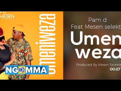 Pam d ft Mesen Selekta - Umeniweza (Audio video)