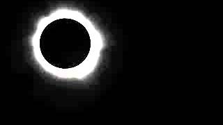 The Black Sun - Arbouretum