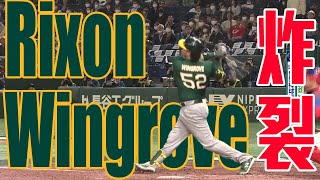 Rixon Wingrove手感火燙 兩分砲炸裂追到只差一分 ｜ WBC棒球經典賽八強