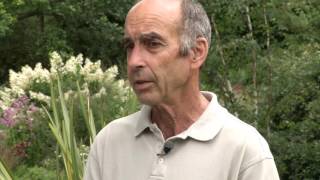 Prairie Yard &amp; Garden: Sun and Shade Plants