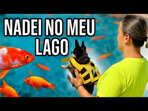 ZORRO ENTROU NO NOSSO LAGO E NADOU COM OS PEIXES?