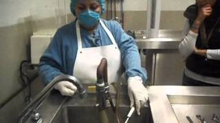 Sala de embalsamamiento