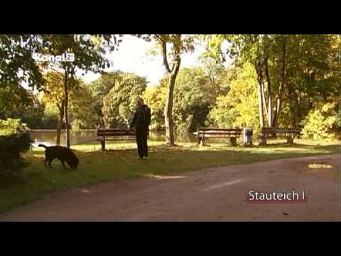 Kanal 21 Wohnen in Bielefeld - Stadtteilportrait Sieker Mitte