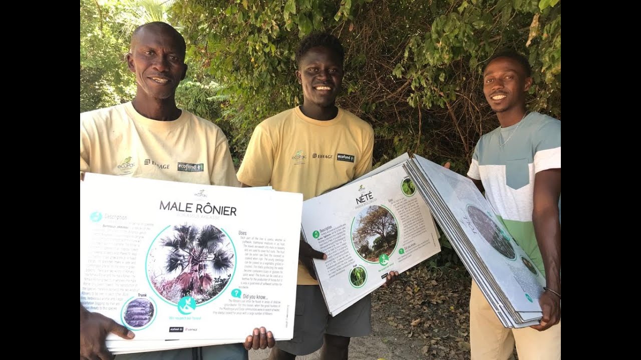 Let's go Ecoparc - 3rd phase of the Casamance Ecoparc project