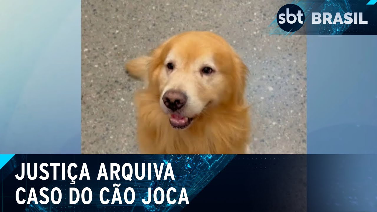 A justiça de SP arquiva o inquérito policial da morte do cão Joca | SBT Brasil (19/10/14)