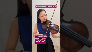 Download lagu 【カノン】パッヘルベル Canon Pachelbel mp3 Download lagu 【カノン】パッヘルベル Canon Pachelbel mp3