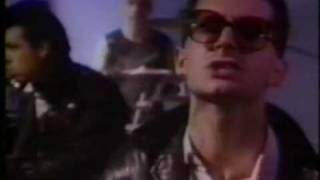 CACTUS WORLD NEWS   Years Later VIDEO