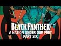Black Panther: A Nation Under Our Feet - Part 6 (Featuring Jeff N Fess)