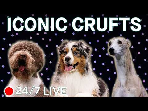 🔴LIVE 24/7! Your Favourite Crufts Moments 2019 - 2025 | Agility | Flyball | Best In Show