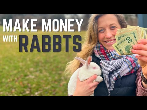 YouTube video about: Does orscheln sell rabbits?