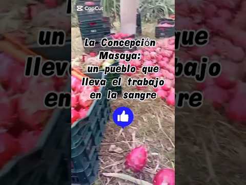 La Concepción Masaya