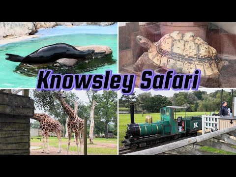 4K Brief Tour of Knowsley Safari Prescot Liverpool England UK | Wildlife & Safari Park