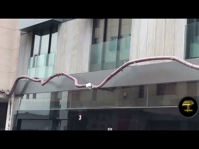 Las Palmas: lamentable maraña de tendidos de cables eléctricos y de telecomunicaciones