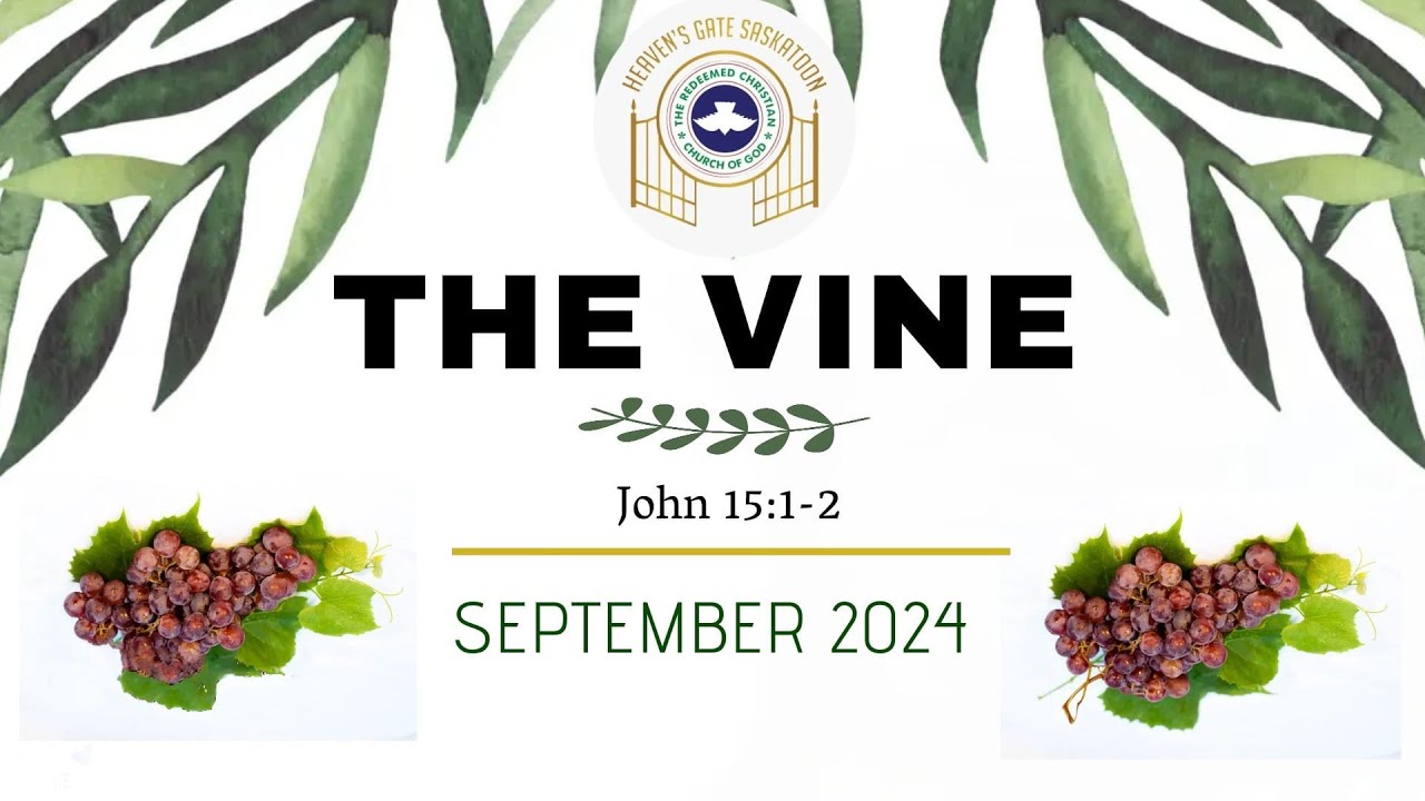 The Vine: Remain & Grow | Elder Mrs. Oyekoya