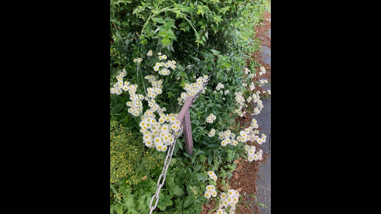 夜はやさし  Kiyoshi Hasegawa & Special Group