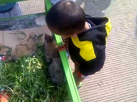 Mimpi burukmu tak perlu jadi musuhmu… Dunia Kecil Mimpi burukmu tak perlu jadi musuhmu… Dunia Kecil