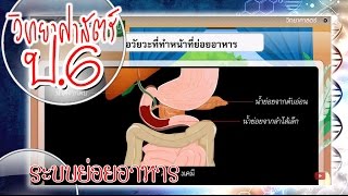 สื่อการเรียนการสอน ระบบย่อยอาหารป.6วิทยาศาสตร์