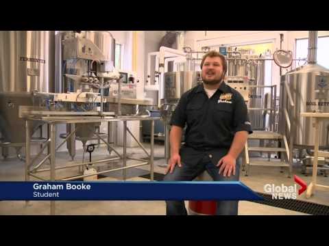 download lagu mp3 mp4 Brewing School Canada, download lagu Brewing School Canada gratis, unduh video klip Brewing School Canada