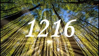 Echos - 1216 (Lyrics Video)