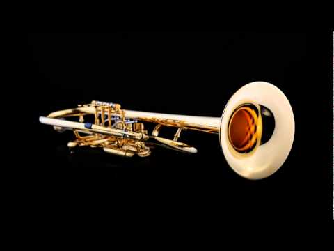 M. Mussorgsky - Pictures at an Exhibition - Promenade - Mr. Mihai Toth