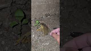 Download lagu https://youtube.com/shorts/t_RTrxVN1Uw?si=cdu-tIQbQ50HJUpo#funny mp3