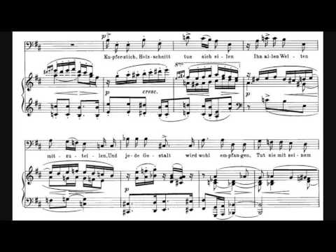 Alphons Diepenbrock - Celebrität