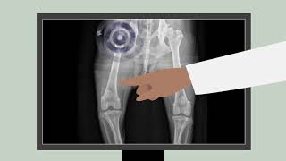 Old age may not be what’s slowing down your pet