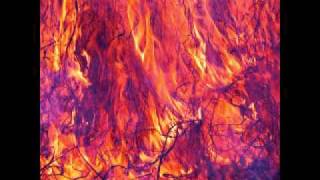 Korallreven - As Young As Yesterday (Panda Bear Remix)