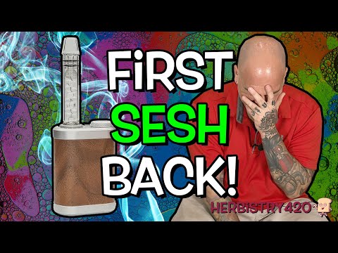 TinyMight 2 T-Break — What Happens After 14 Days Without Cannabis?